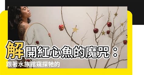 紅心魚的魔咒答案